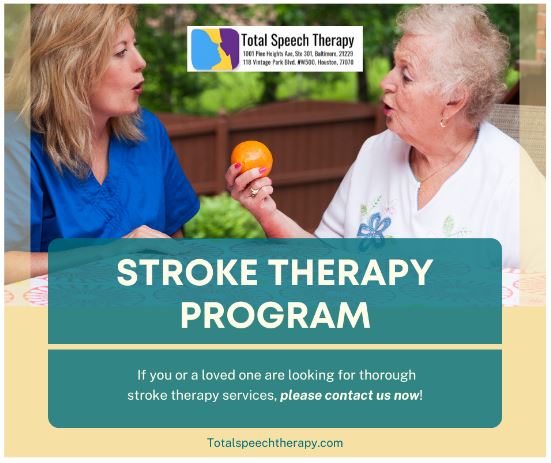 Stroke Therapy Program